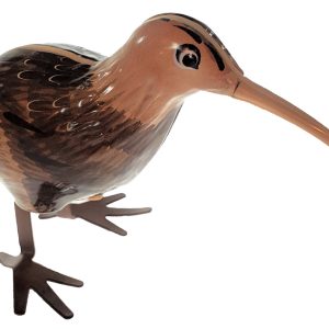 Kiwi pájaro