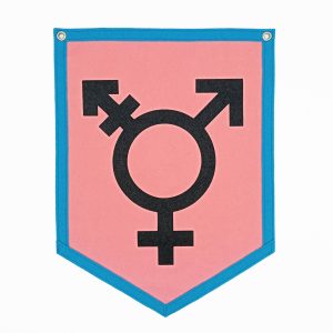 bandera trans