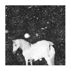 BLACK LIPS - APOCALYPSE LOVE